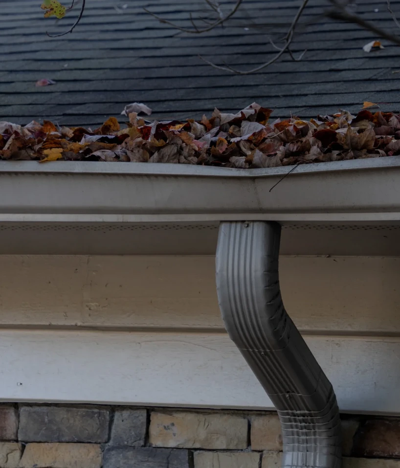 Autumn leaves in roof gutter